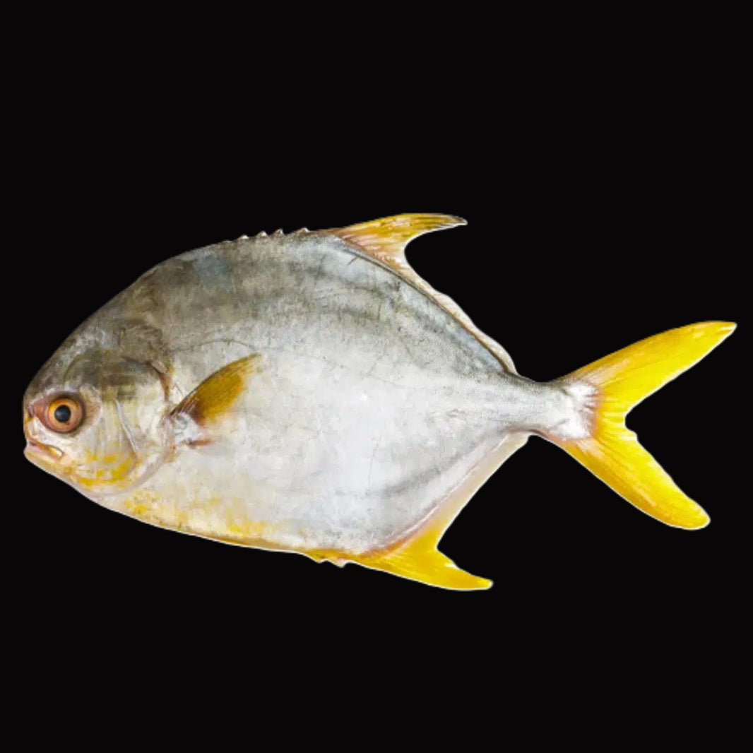 Shell Fish Halal Halal Meat Products Distributor Singapore | Lim Traders